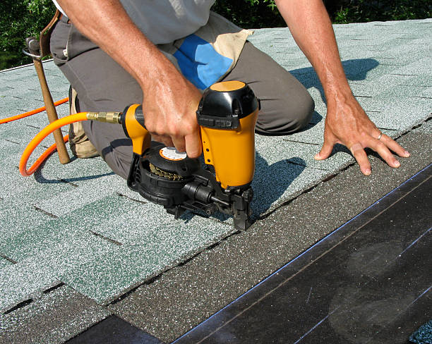 Best Roof Gutter Cleaning  in West View, PA