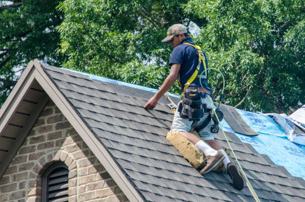 Best Storm Damage Roof Repair  in West View, PA